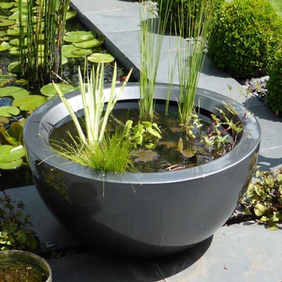Small Patio Water Garden #tubgardening #patiopond https://waterlilybear.com/mini-ponds/pond-supplies.htm