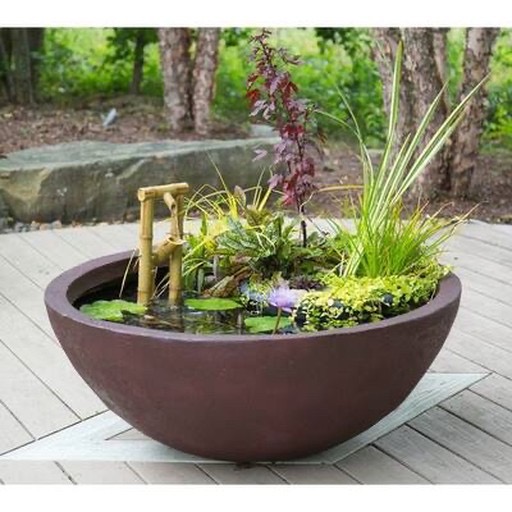 Large Patio Mini-Pond Container Water Garden #tubgardening #containerwatergarden #smallpond https://waterlilybear.com/mini-ponds/pond-supplies.htm