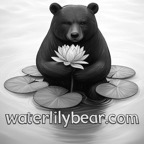 waterlily-bear-website.jpg